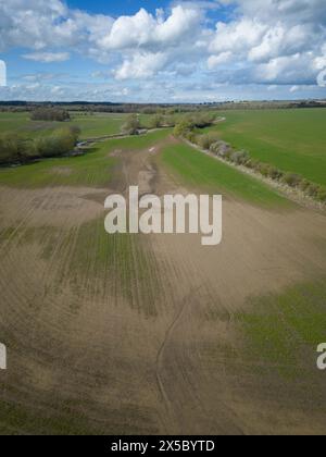 31. März 2024 Eine Überschwemmung der Landwirte beschädigte Wintergetreideernte Stockfoto