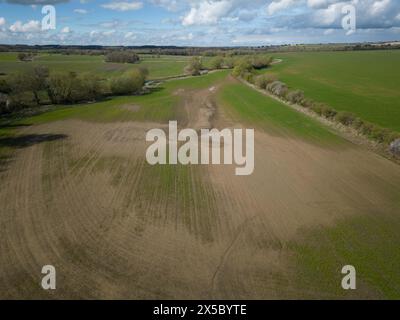 31. März 2024 Eine Überschwemmung der Landwirte beschädigte Wintergetreideernte Stockfoto