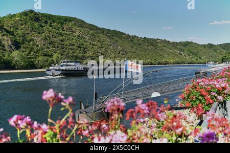 Die Binnenschifffahrt passiert eine KD Cruise Line Ferry, die auf dem Rhein bei Boppard landet. Bunte Blumen im Vordergrund und KD-Kreuzfahrtflagge. Stockfoto