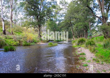 Turon National Park und Turon River, der durch den Nationalpark in New South Wales, Australien fließt Stockfoto