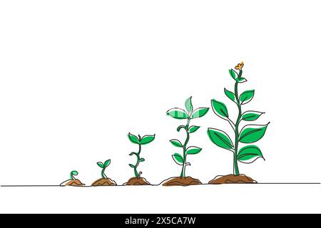 Infografik der durchgehenden einzeiligen Zeichnung zum Pflanzen eines Baumes. Samen sprießen im Boden. Keimling-Gartenanlage. Sprossen, Pflanzen, Bäume wachsen Ikonen. Singen Stock Vektor