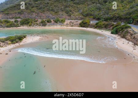 Aus der Vogelperspektive einer Welle, die an der Mündung des Flusses entlang der Küste und über Sandbänke am St. George River bei Lorne an der Great Ocean Road in Victoria, Australien, rollt. Stockfoto