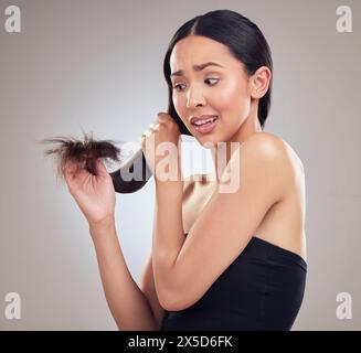 Haarpflege, aufgebracht und Frau im Studio mit Spliss für Keratin-Behandlung und trocken auf grauem Hintergrund. Pflege-, Trimm- und Friseurmittel gegen Glanz Stockfoto