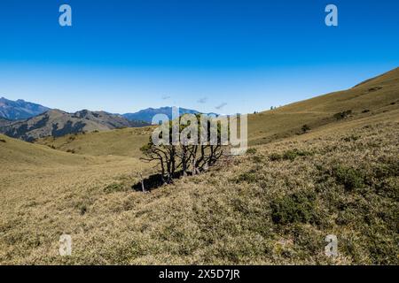 Trekking auf dem Jiaming Lake Trail, Taitung, Taiwan Stockfoto