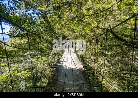 Überqueren Sie eine Hängebrücke auf dem Nenggao Historical Trail, Nantou, Taiwan Stockfoto