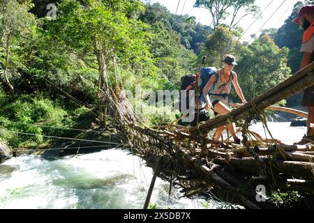 Wanderer überqueren eine Holzbrücke auf dem Kokoda Track in Papua-Neuguinea Stockfoto