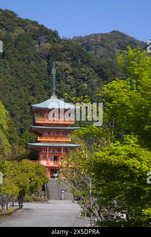 Japan, Kumano Kodo, Nachisan Seiganto-JI Tempel, Stockfoto