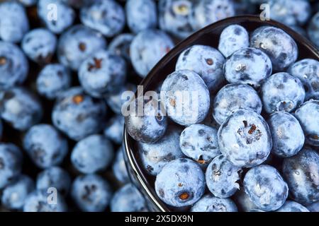 Nahaufnahme von Heidelbeeren mit Wassertropfen in einer schwarzen Schüssel Stockfoto
