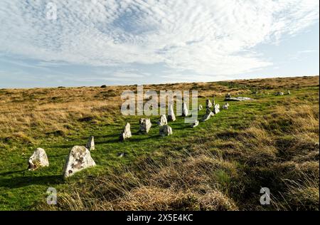 Schaufeln Sie Steinreihen in prähistorischen Ausrichtungs-Komplex. Reihe 2 steigt zum vierfachen Kreis. Wahrscheinlich Bronzezeit. In Dartmoor bei Gidleigh, Devon, Großbritannien Stockfoto