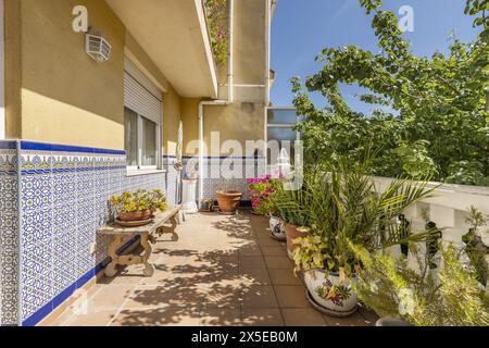 Terrasse mit vielen Pflanzen eines Einfamilienhauses mit weißer Zementgeländer, Zementbänken und Fliesen bis zur Mitte der Mauer Stockfoto