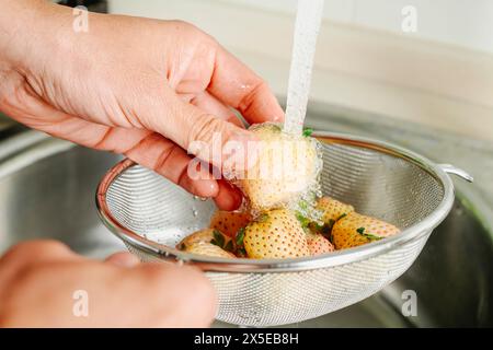 Ein Mann spült einige Ananas in einem Sieb unter fließendem Wasser des Küchenhahns Stockfoto