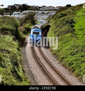 Das Heck des Midland Pullman passiert Goodrington auf der Dartmouth Steam Railway. Das ist 1Z60, die 0801 von Penzance nach Kingswear am 13.04.2024. Stockfoto