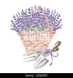 Lavendel im Korb mit Gartengeräten. Blumenstrauß in Vintage-Korbbeutel, Kelle und Rechen. Handgezeichnete Aquarellillustration der Provence Frühling er Stockfoto