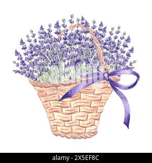 Lavendel im Korb mit Seidenschleife. Blumenstrauß in Vintage-Korbtasche. Handgezeichnetes Aquarellbild der floralen Kräuter des Frühlings der Provence. Isoliert Stockfoto