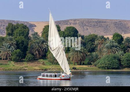 Vergnügungsboot auf dem Nil in Ägypten, mit seinem traditionellen Hochsegel. Der fruchtbare Damm und die Wüstendünen im Hintergrund. Stockfoto