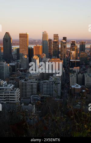 Montreal Stadtbild vom Mount Royal. Es ist ein schöner Herbsttag. Das natürliche Licht des Sonnenuntergangs lässt die Stadt hell erscheinen. Stockfoto