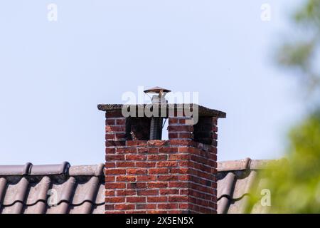 Ein Porträt eines roten Ziegelkamins voller Fugen und eines Stahlrohrs, das auf einem schwarzen Ziegeldach in einem blauen Himmel ragt. Stockfoto