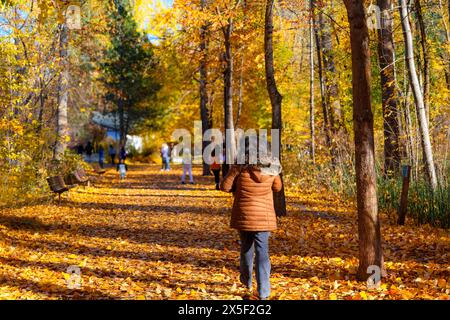 Eine Frau spaziert im Herbst in Leavenworth, Washington, USA, durch den baumbestandenen Blackbird Island Park mit herbstfarbenen Blättern auf den Bäumen und Pfaden. Stockfoto