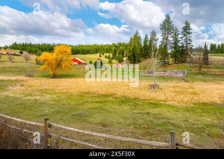 Eine farbenfrohe rote Scheune mit passendem kleinerem Nebengebäude auf einer Ranch in den sanften Hügeln des ländlichen Spokane, Washington, USA. Stockfoto