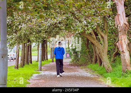 Glasgow, Schottland, Großbritannien. 9. Mai 2024: UK Wetter: Sonniges Sommerwetter für Einheimische und Touristen im Stadtzentrum. Credit Gerard Ferry/Alamy Live News Stockfoto