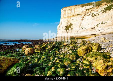 Ebbe, Niedrigwasserstand in der Nähe der Klippen bei Etretat, Frankreich. Stockfoto