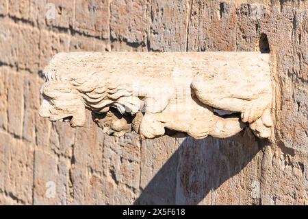 Gargoyle an der Mauer der Puerta de Serranos (auch Torres de Serranos, Torres dels Serrans oder Serranos-Tor, Serrans-Türme, Serranos-Türme), Valen Stockfoto