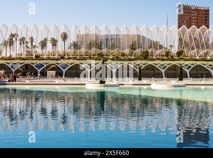 Die Umbracle Reflections, Ciudad de las Artes y las Ciencias (Stadt der Künste und Wissenschaften), Valencia, Spanien Stockfoto