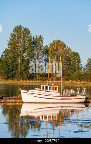 Fischereifahrzeug Silver Ann bei der Britannia Shipyard in Steveston British Columbia Kanada Stockfoto