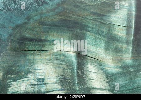 Blauer Hintergrund aus Naturholz. Abstrakte Zeichnung auf einem Baumschnitt Stockfoto