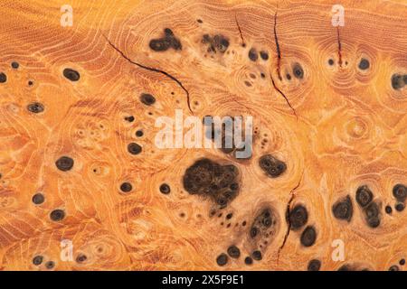 Brauner Hintergrund aus Naturholz. Abstrakte Zeichnung auf einem Baumschnitt Stockfoto