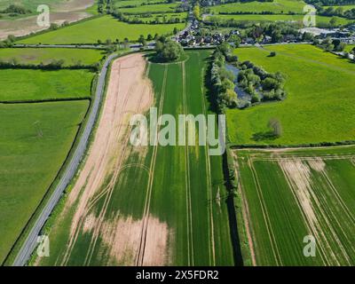 Luftaufnahme des Wassers beschädigte landwirtschaftliche Nutzpflanzen in Herefordshire Großbritannien - dieses Feld war während des Winters (2023) und des Frühlings (2024) unter Wasser Stockfoto