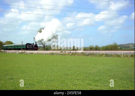 '30053' und Zug in der Nähe von Northiam. Stockfoto