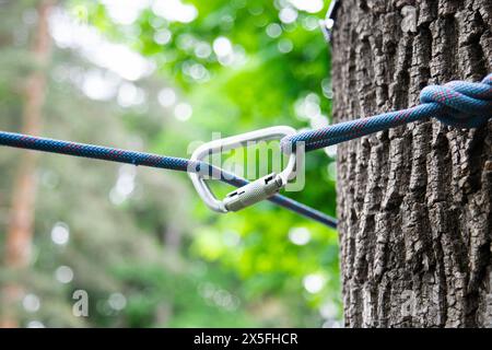 Kletterseil mit Karabiner an einem Baum befestigt Stockfoto