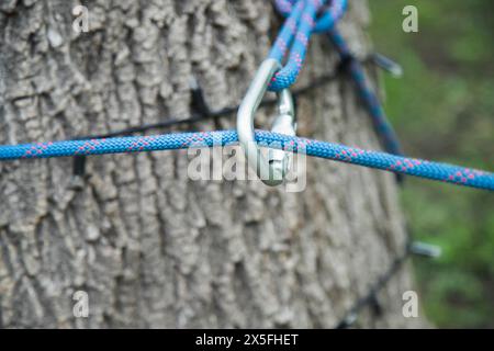 Kletterseil um einen Baum gewickelt mit Karabiner gesichert. Rettungsmission Konzept Stockfoto