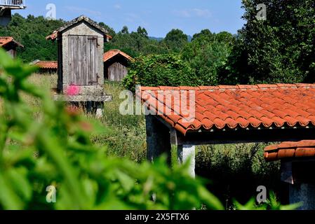 Getreidespeicher in Paredes, Leiro, Ourense, Spanien Stockfoto