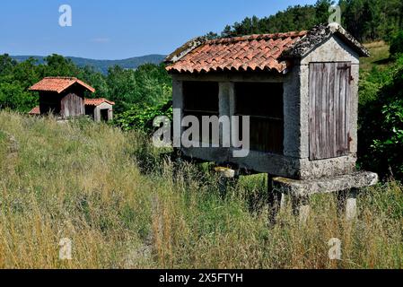 Getreidespeicher in Paredes, Leiro, Ourense, Spanien Stockfoto