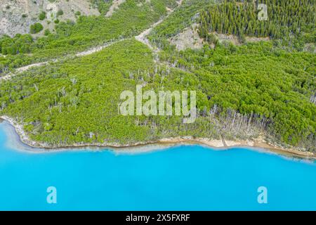 Blick aus der Vogelperspektive auf den Lago Jeinimeni-See, Gletscherblau im Gegensatz zu grünen Wäldern, Jeinimeni-Nationalpark, Patagonien, Chile Stockfoto