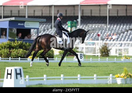 Harry Meade von Großbritannien mit Cavalier Crystal während des Dressurtests bei den Badminton Horse Trials am 9. Mai 2024, Badminton Estate, Vereinigtes Königreich (Foto: Maxime David - MXIMD Pictures) Stockfoto