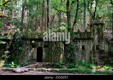 Castelo do Conde in „verzaubertem Holz“ von Aldan, Cangas, Pontevedra, Spanien Stockfoto