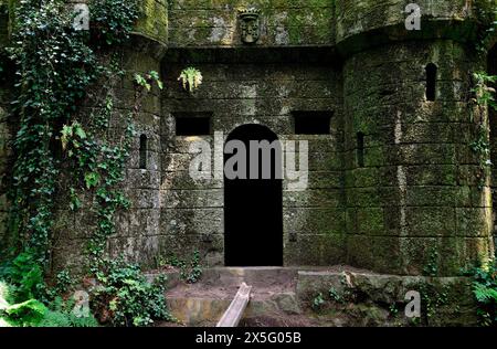 Castelo do Conde in „verzaubertem Holz“ von Aldan, Cangas, Pontevedra, Spanien Stockfoto