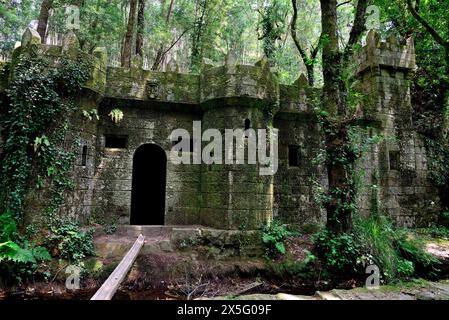 Castelo do Conde in „verzaubertem Holz“ von Aldan, Cangas, Pontevedra, Spanien Stockfoto