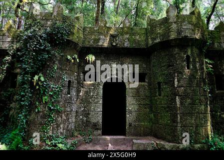 Castelo do Conde in „verzaubertem Holz“ von Aldan, Cangas, Pontevedra, Spanien Stockfoto