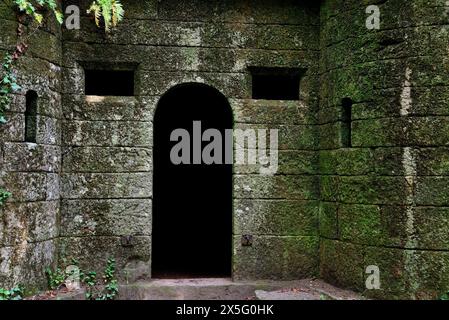 Castelo do Conde in „verzaubertem Holz“ von Aldan, Cangas, Pontevedra, Spanien Stockfoto