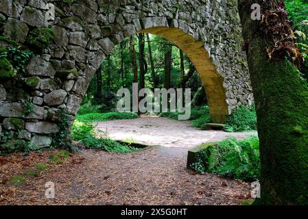 Bogen einer Brücke im „Enchanted Wood“ von Aldan, Pontevedra, Spanien Stockfoto