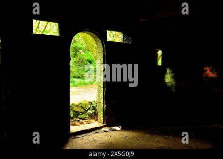 Castelo do Conde in „verzaubertem Holz“ von Aldan, Cangas, Pontevedra, Spanien Stockfoto