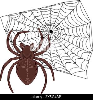Halloween-braune realistische Vektorspinne und Spinnennetz. Spinnennetz und Spinnen auf weißem Hintergrund. Vektor-Illustration an halloween Stock Vektor