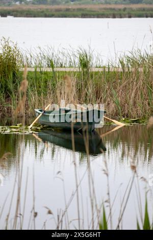 Landschaftlich schöner Blick auf den Comana-See, Teil des Naturparks Comana, in der Nähe von Bukarest, Rumänien. Stockfoto