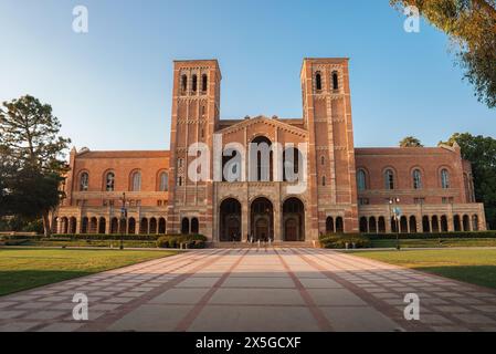 UCLA Bruin Bear auf dem Campus der University of California, Los Angeles. Stockfoto