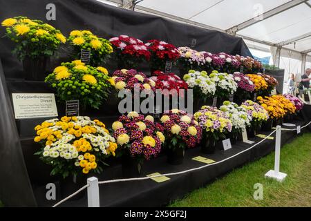 Mai 2024. Das RHS Malvern Spring Festival wurde heute an einem warmen sonnigen Tag eröffnet. Tausende von Besuchern besuchten die jährliche Blumenausstellung auf dem Three Counties Showground in Malvern, Worcestershire, England, Großbritannien. Die Veranstaltung findet über 4 Tage statt und endet am 12. Mai 2024. Stockfoto