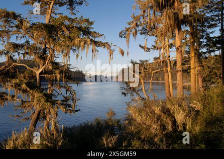 WA24838-00....WASHINGTON - Decption Pass und Brücke aus Sicht von West Point, Whidbey Island, Deception Pass State Park. Stockfoto